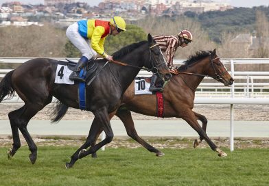 Quali sono gli sport dove è più facile vincere con le scommesse?